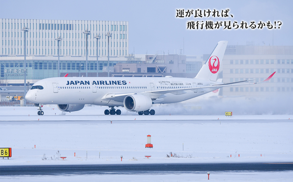 JALスタッフとめぐる新千歳空港バックヤード見学ツアー《2025年7月12日 催行》