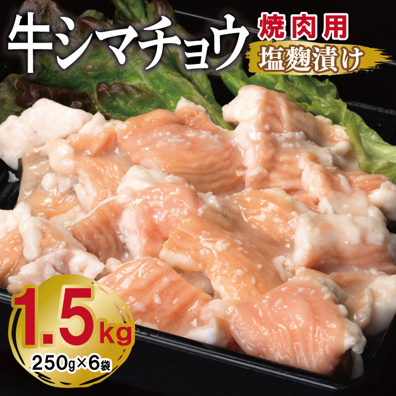 牛シマチョウ 焼肉用 塩麹漬け 合計1.5kg【味付け 小分け 焼くだけ 簡単調理 BBQ 牛肉 ホルモン 250g×6袋】 G3383