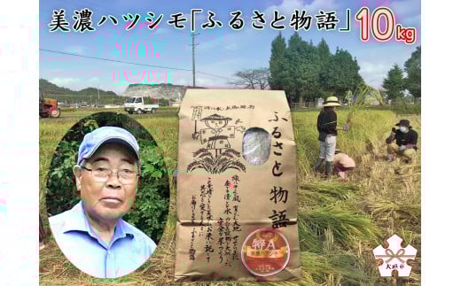 ＼新米お届け／ 美濃 ハツシモ 10kg【ふるさと物語】 新米 ごはん 白米 精米 お米 岐阜県 大垣市