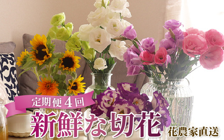 【定期便4回】花農家直送 新鮮な切花【春 夏 秋 冬】 / 生花 お花 旬の花束 豊かな生活 花のある生活 15本程度 2種 季節 年4回お届け