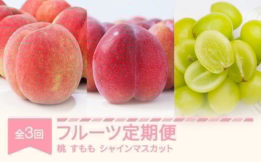 【先行予約】フルーツ定期便 全3回 白桃 すもも シャインマスカット 秀品 2025年産 令和7年産 ※沖縄・離島への配送不可 sb-fthps3