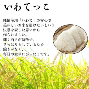 【2024年11月発送開始】 新米 岩手県産 いわてっこ 玄米 10kg （5kg×2袋） × 3ヶ月定期便 ／ 米 産地直送 農家直送 【中沢農産】