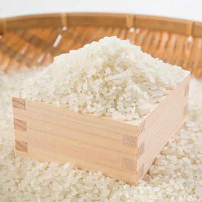 ふるさと納税 富良野市 令和8年　富良野産ゆめぴりか 米 5kg×2袋(合計10kg) |  | 01