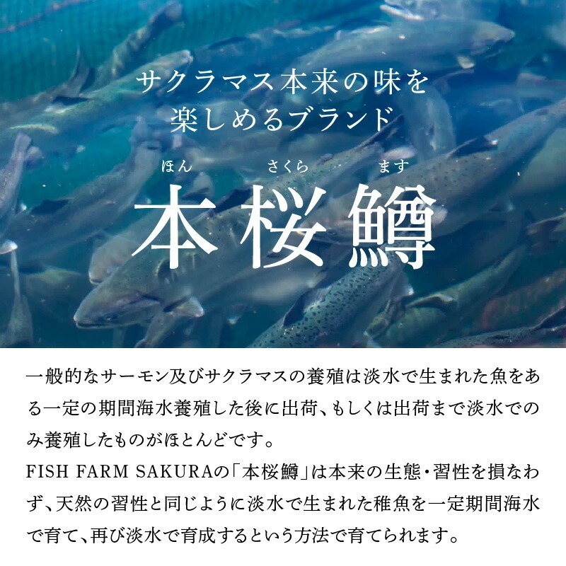 本桜鱒スモークサーモン3種食べ比べセット N0116-YA3363