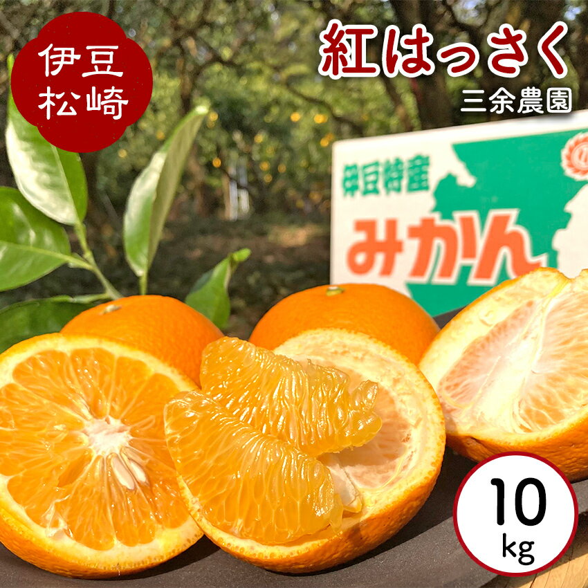 【ふるさと納税】三余農園 紅はっさく 10kg 八朔 はっさく ハッサク 箱 国産