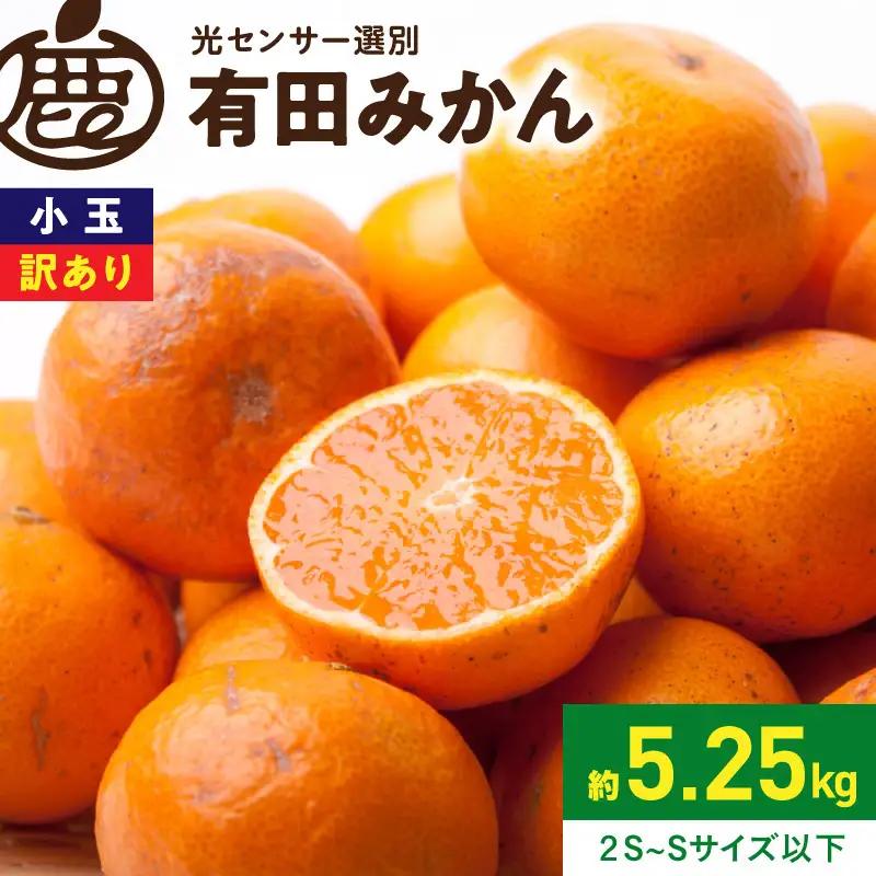 《2026年11月上旬～2027年1月上旬頃に順次発送》【2026年先行予約】家庭用 小玉な有田みかん約5kg+250g（傷み補償分）【わけあり・訳あり】【光センサー選果】_ZH7109