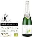 【ふるさと納税】フォックスヴィレッジ　甲州スパークリング 720ml ふるさと納税 ワイン 笛吹市 山梨ワイン 酒 アルコール 山梨県 記念品 お祝い 送料無料 165-020