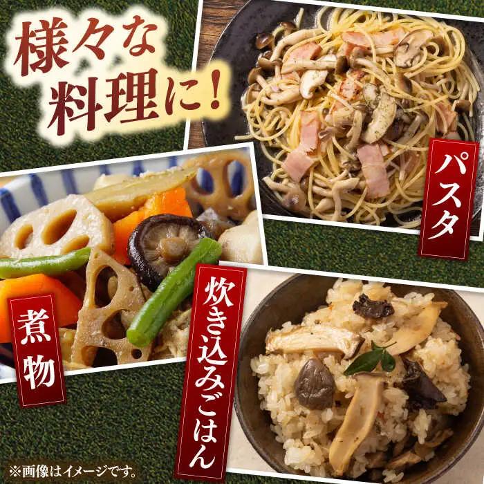 乾燥しいたけ 40g×5袋セット 桂川町/オドラ株式会社 [ADBA005] 国産椎茸 乾燥椎茸 乾燥 椎茸 干し椎茸 天日干し椎茸 乾燥椎茸セット 九州
