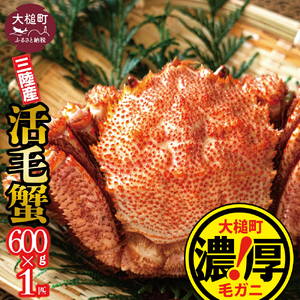 【令和9年発送】三陸産！活毛ガニ600g×1杯【08】【2027年2月～4月発送】