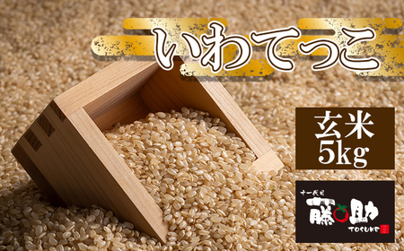 【令和7年産】 いわてっこ 玄米 5kg ／ 十一代目藤助 こめ 米 コメ お米 おこめ ご飯 ごはん げんまい おにぎり お取り寄せ 産地直送 農家直送 単一原料米 国産 国産米 東北 岩手県産 八幡平市産 数量限定 おすすめ