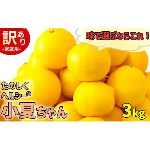 【訳あり】小夏 (日向夏) ヘルシー小夏ちゃん 3kg | 家庭用 期間 数量 限定 旬 人気 果物 くだもの 柑橘 フルーツ みかん ジュース 高知県 須崎市 KYM009