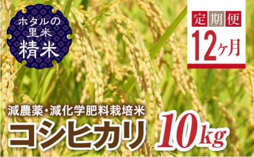 ＜定期便12ヶ月＞ 令和8年産米【ホタルの里米】環境に配慮し農薬を減らした栽培米 コシヒカリ精米10kg  F4D-2302