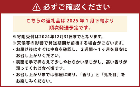 晩白柚 2玉 【2025年1月下旬発送開始】