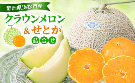 【2026年2月発送】クラウンメロン&せとか詰合せ クラウンメロン 1個 約1.3kg 白等級 せとか 4個 柑橘の最高峰 ジューシー メロン めろん 柑橘 かんきつ みかん ミカン 蜜柑 静岡 浜松市