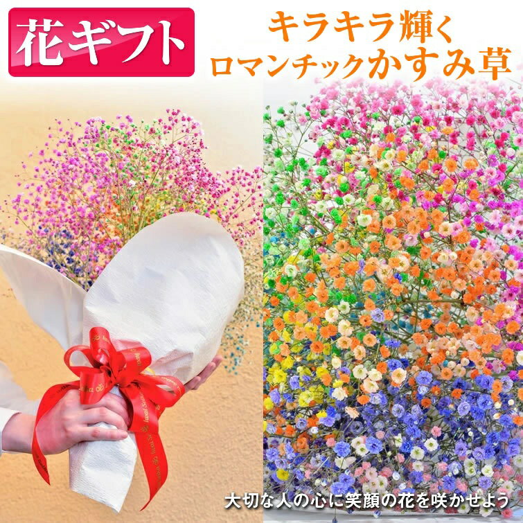 【ふるさと納税】ふわふわブーケ ｜ 生花 花 ギフト ロマンチックかすみ草 七色 輝く カスミソウ カスミ草 かすみそう お祝い プレゼント カラフル 花束 おしゃれ
