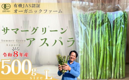 【先行予約】オーガニック サマーグリーンアスパラガス  L 500g【オーガニックアスパラ 有機JAS認証 有機栽培 サマーグリーンアスパラガス アスパラガス 夏アスパラガス Lサイズ 新鮮野菜 産地直送 500g 自然栽培 循環型農法  甘いアスパラガス 香り豊か 野菜ギフト 夏野菜 旬の野菜 アスパラギン酸 疲労回復 お取り寄せ野菜 】