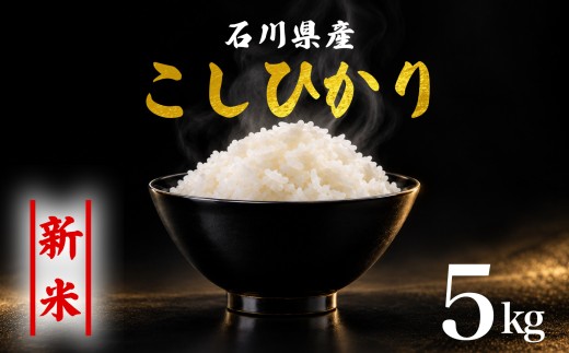米 5kg 新米予約 先行予約 コシヒカリ 米5kg お米 精米 石川県産 令和8年産 お米 5kg1袋 能登 こしひかり こだわり 石川県産 環境 米 お米 白米 こめ コメ おこめ 米5kg 2026年産 精米 R8 ご飯 ごはん 送料無料 R8 数量 限定 白飯 ふるさと納税 能登 石川 羽咋 はくい 災害 復興 支援 復興支援 5kg米