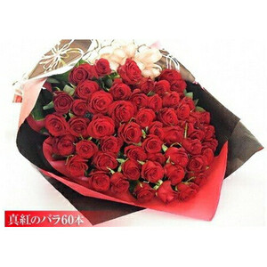 真紅のバラ60本【 バラ 薔薇 フラワー 】
