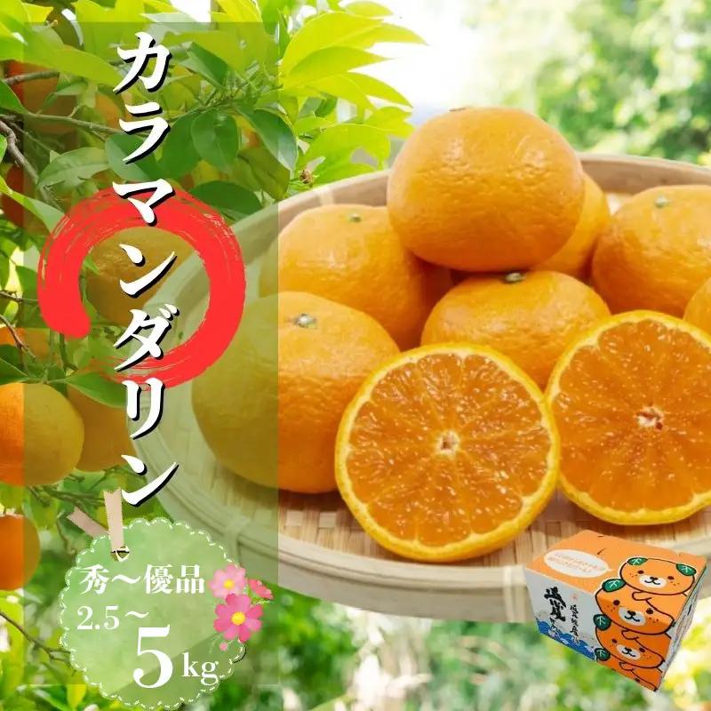 【2027年4月下旬頃から順次発送】カラマンダリン 秀~優品  5kg  | 愛媛 みかん 柑橘 お取り寄せ グルメ 期間限定 数量限定 人気 おすすめ 愛媛県 松山市【PT101】