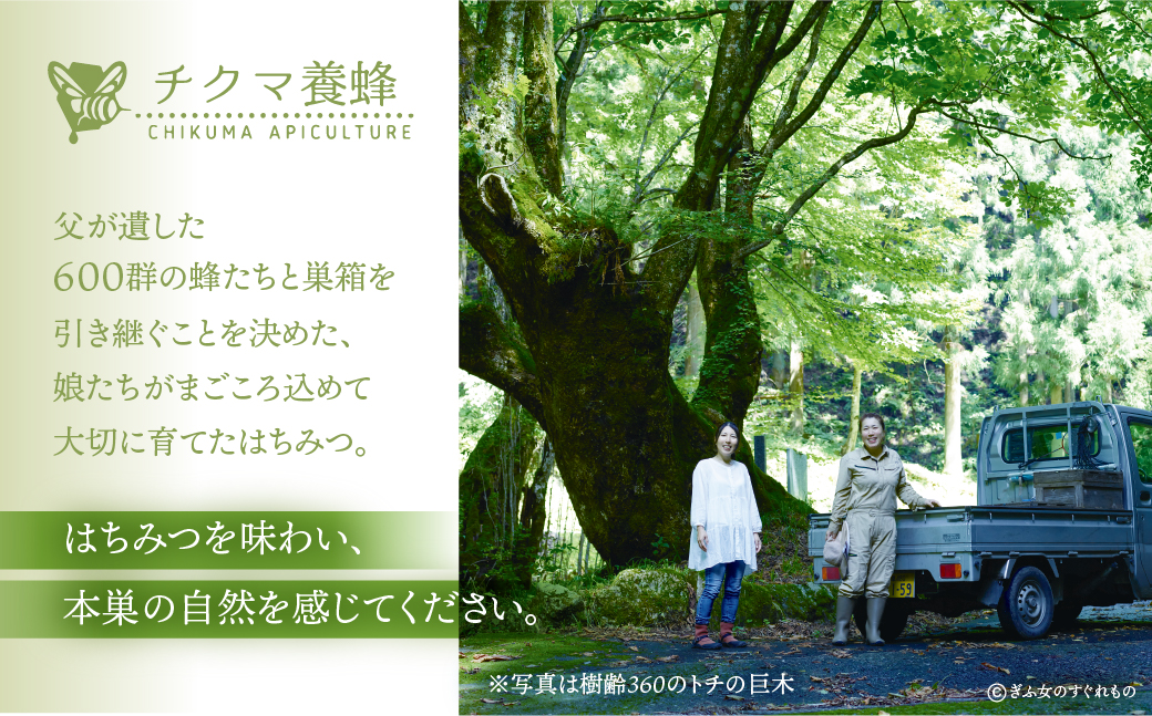 [ 国産はちみつ ] バラエティ 食べ比べ とち蜜 百花 90g × 2個 ナッツ蜂蜜漬 100g 1個 瓶 国産 トチ 百花 純粋 はちみつ ハチミツ 蜂蜜 ハニー 送料無料 女性養蜂家 チクマ養蜂