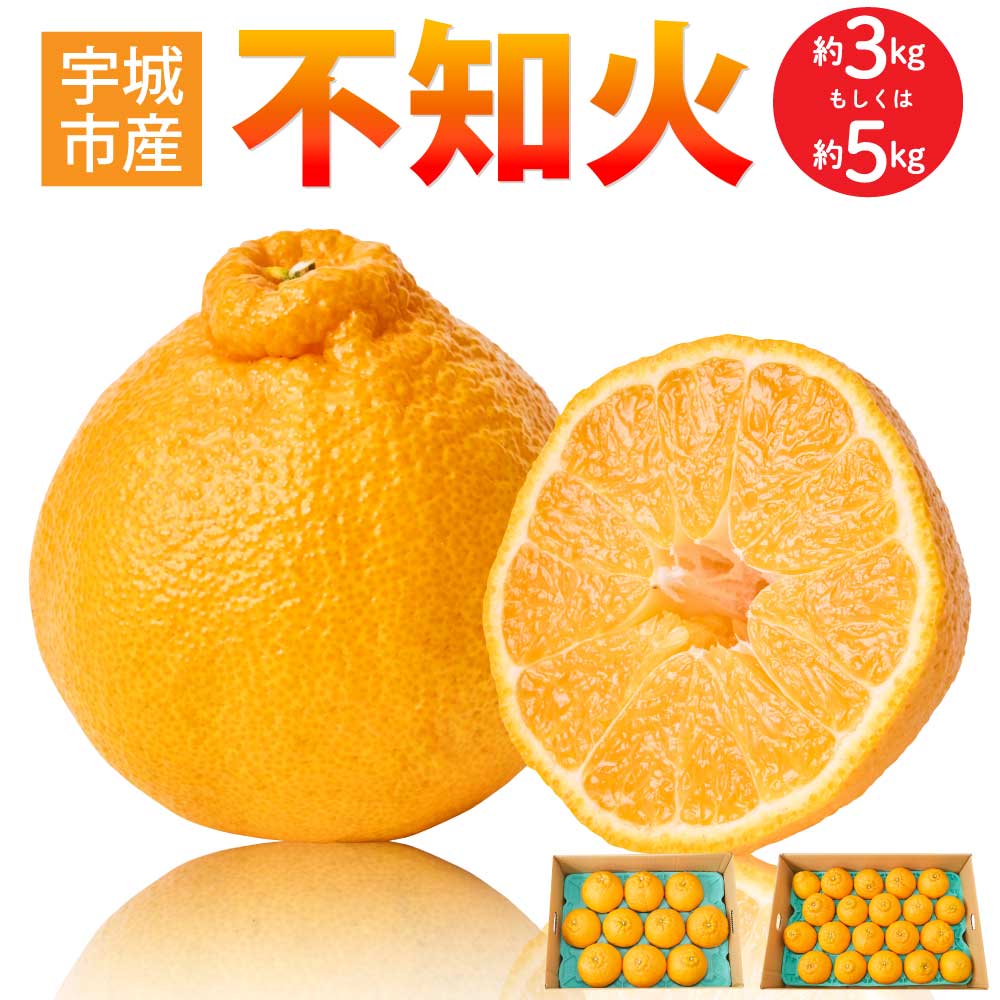 【ふるさと納税】【選べる内容量】 先行予約 不知火 約3kg（7〜12玉前後）もしくは 約5kg（15〜22玉） 【2026年3月上旬~2026年4月上旬頃発送予定】 しらぬい 蜜柑 ミカン 柑橘 国産 九州 熊本県 宇城市 株式会社la Nui.