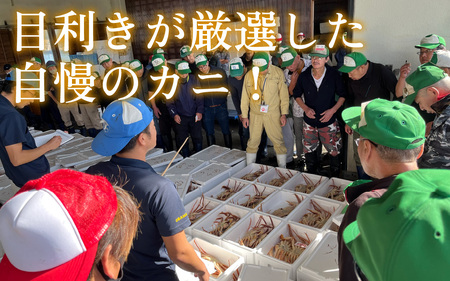 【先行予約/11月7日より順次発送】 【希望月指定可】 越前がに 900ｇ×2ハイ / 蟹 ズワイガニ ずわいがに ボイル 冷蔵 小浜市 / まるほ商店 【配送不可地域：北海道・沖縄・離島】[BFCS