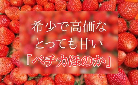 【先行予約】18-06 夏イチゴの最高級品種　【ペチカほのか】　300g（12～24粒）× 2パック