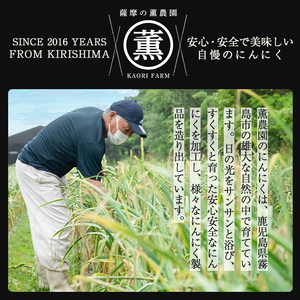 K-633 私のたれ 女だってにんにく(500ml×2本)【薩摩の薫農園】霧島市 ニンニク タレ たれ 醤油 調味料