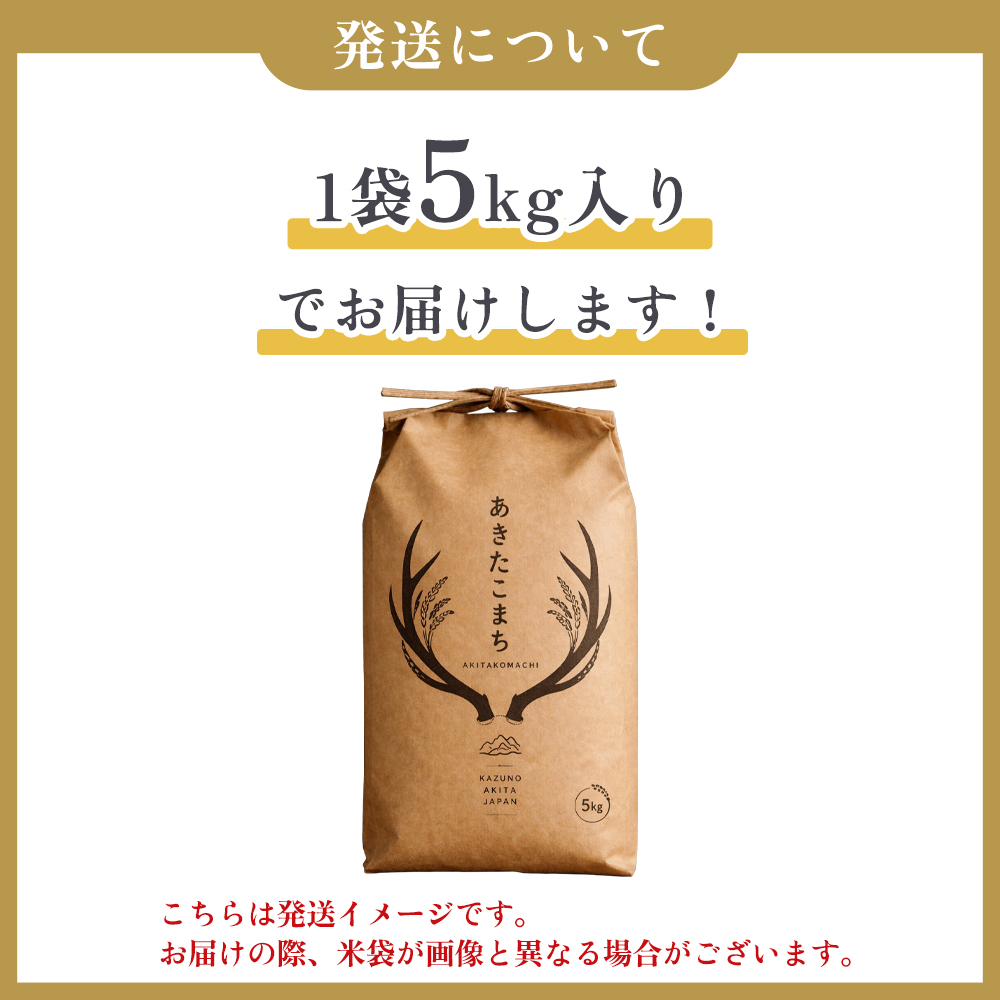 【定期便】令和8年産 あきたこまち 無洗米 15kg×9ヶ月【トライズ】