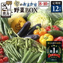 【ふるさと納税】【定期便】【選べる配送サイクル】野菜 定期便 旬の おまかせ 野菜BOX 12回 8~10品目 | ふるさと納税 野菜 定期便 定期 やさい 定番 野菜 セット 詰め合わせ 旬 新鮮 産地直送 大容量 ふるさと 佐賀県 鹿島市 人気 送料無料 H-13