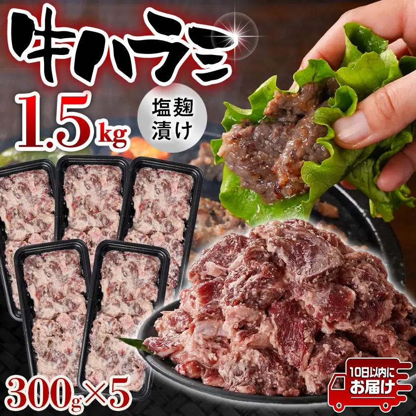 牛ハラミ 塩麹タレ漬け1.5kg≪みやこんじょ特急便≫〔14J-33-025-1500g-Q〕_(都城市)  味付き 牛肉 真空 小分け