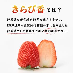 【先行予約】 いちご きらぴ香 約1kg 約250g×4パック 朝どれ 完熟 苺 産地 直送 フレッシュ イチゴ 贈答 フルーツ 果物 国産 静岡 発送期間: 2024年3月～2024年5月 静岡県 