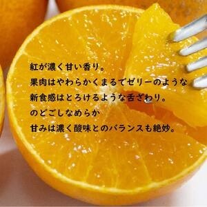 【先行受付】JA特選品 紅まどんな（青秀L～3L 約3kg）【EN0092】