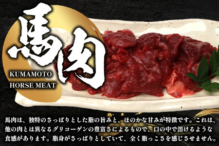 【 定期便 12回 】 熊本県 馬スジ 1㎏（ 500g×2 ） × 12回 【 合計 12kg 】 馬肉 すじ肉 大容量 本場 熊本県 馬 赤身 煮込み カレー シチュー 冷凍 真空 熊本 肥育 ヘ