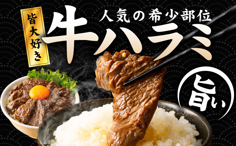 【満足ハラミ】中辛タレ漬け 合計2.5kg 【味付け ハラミ 小分け 焼くだけ 簡単調理 BBQ 牛肉 250g×10P】 099H3709_イメージ2