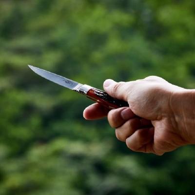 ふるさと納税 関市 アウトドアナイフ トラウト&バード(フラット)ジグドボーン TS-535ANZ モキナイフ |  | 02