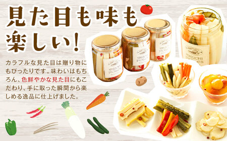 ピクルス 大瓶 3本セット 【メロンドーム】 約260g×3本 ピクルス 野菜 酢漬け 漬物 おつまみ 旬の野菜 《30日以内に出荷予定(土日祝除く)》