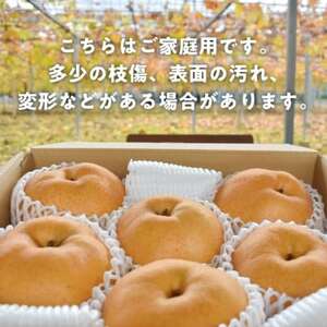 【きよとうファーム】あたご梨 ご家庭用/約5kg(岡山県産)【1566274】