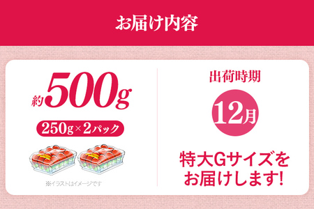 福岡県産 あまおう 500g （250g×2パック） いちご 12月中発送 いちご 苺 フルーツ 果物 くだもの 大粒Gサイズ グランデ 農家直送 大粒 不揃い 福岡県 福岡 九州 グルメ お取り寄せ