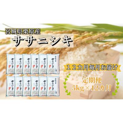 ふるさと納税 栗原市 【毎月定期便】ササニシキ白米5kg(5kg×1袋) 宮城県栗原産全12回