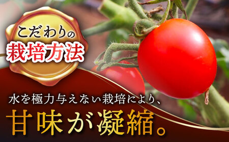 【期間限定】松本さんの極上 ミニトマト 約1kg トマト ミニ トマト プチ トマト 極上 とまと 人気 ミニとまと  ＜小値賀町＞ 長崎県 五島列島  [DBR001]