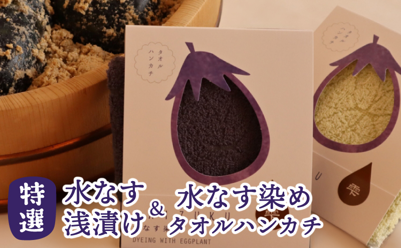 水なす浅漬け 5個 水なす染めタオルハンカチセット【新鮮 野菜 泉佐野産 茄子 やさい 高評価 数量限定 大阪 泉佐野 大阪府 泉佐野市】
