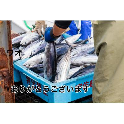 ふるさと納税 南国市 モチモチ食感!ビリかつお刺身300g×1節(刺身醤油・ニンニク付き) |  | 03