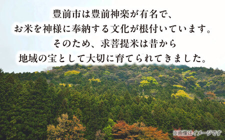 【全6回定期便】 求菩提米　夢つくし　10kg (5kg×2袋)《豊前市》【アグリネックス】米 お米 白米[VCO010]