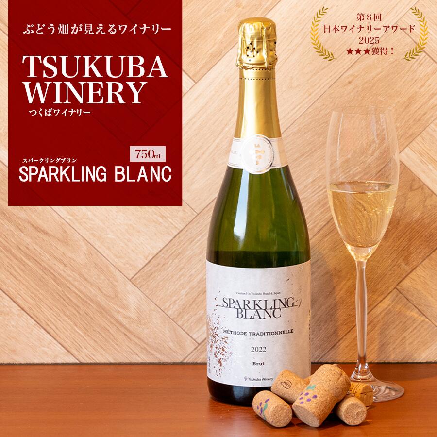 【ふるさと納税】つくばワイナリー SPARKLING BLANC (スパークリングブラン) | お酒 葡萄 ぶどう ブドウ 茨城県 つくば市 ワイナリー ワイン スパークリングワイン 日本ワイン 国産ワイン
