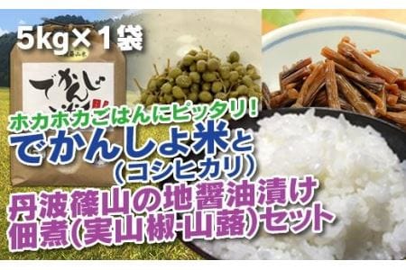 【令和6年産 新米！】丹波篠山の地醤油漬、佃煮セット　令和6年産 でかんしょ米5kgと実山椒・山蕗 AD25