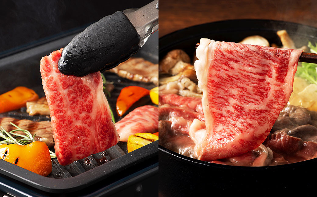 馬刺しと球磨焼酎の熊本特産マリアージュ10種セット
