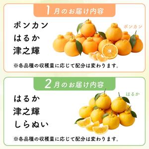 【旬の柑橘詰め合わせ 5㎏ 】訳あり 訳アリ わけあり 規格外 不揃い 傷 柑橘 詰め合わせ 食べ比べ 2種以上 セット ミカン みかん 蜜柑 ポンカン ぽんかん せとか デコポン 不知火 しらぬい 