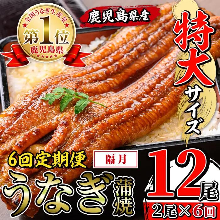 【6回定期便(隔月)】鹿児島県産 うなぎ蒲焼 特大 サイズ 2尾セット ＜（約220g×2・計約440g）×全6回＞  【薩摩川内鰻】 i1173-B