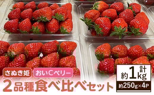 ＜期間限定！2026年2月上旬以降順次発送予定＞いちご2品種食べ比べセット(約250g×4P・約1kg) 【man347】【クズハラ農園】